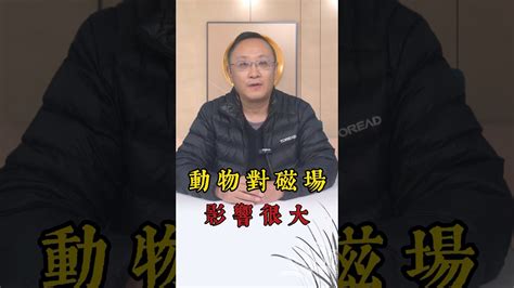 磁場對人的影響